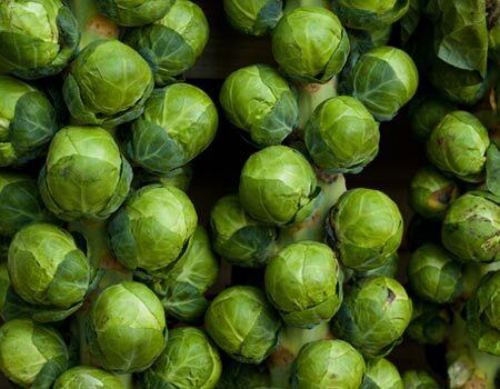 Brussels Sprouts