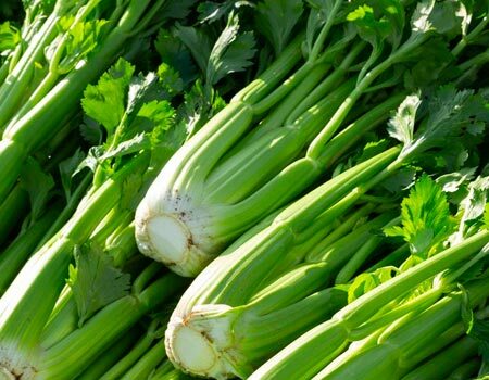Celery & Celeriac