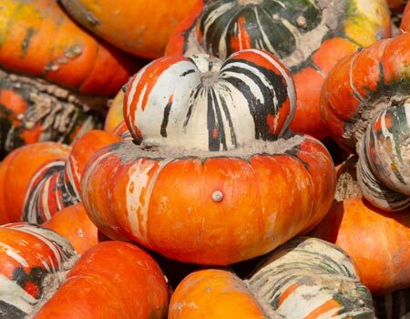 Gourds
