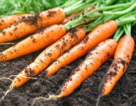 Carrots