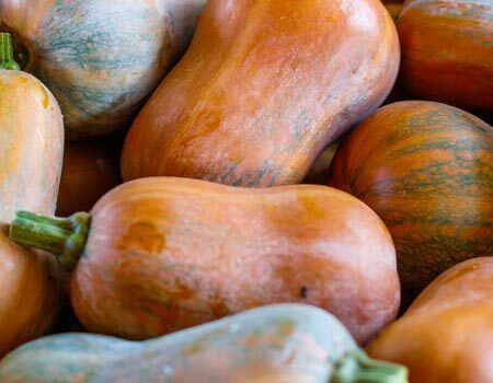 Squash & Pumpkins