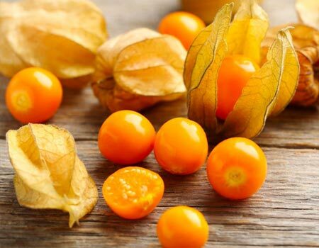 Organic Tomatillos and Ground Cherries