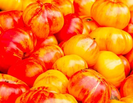 Tomatoes