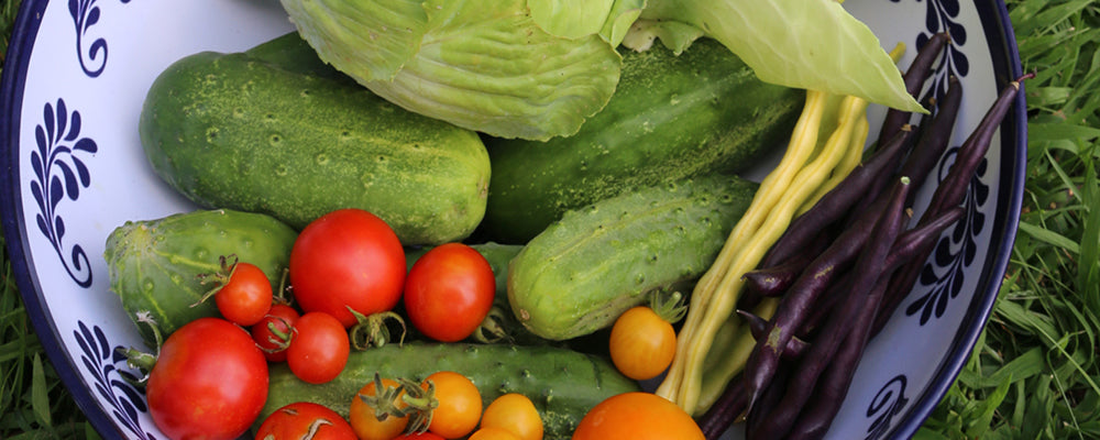 Vegetable Gardens