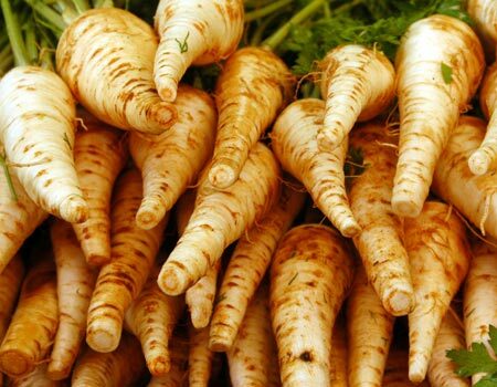 Parsnips, Parsley Root & Salsify