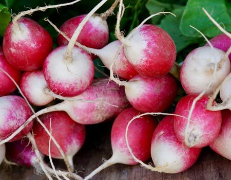 Radishes