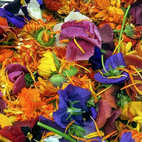 Specialty Garden Kits