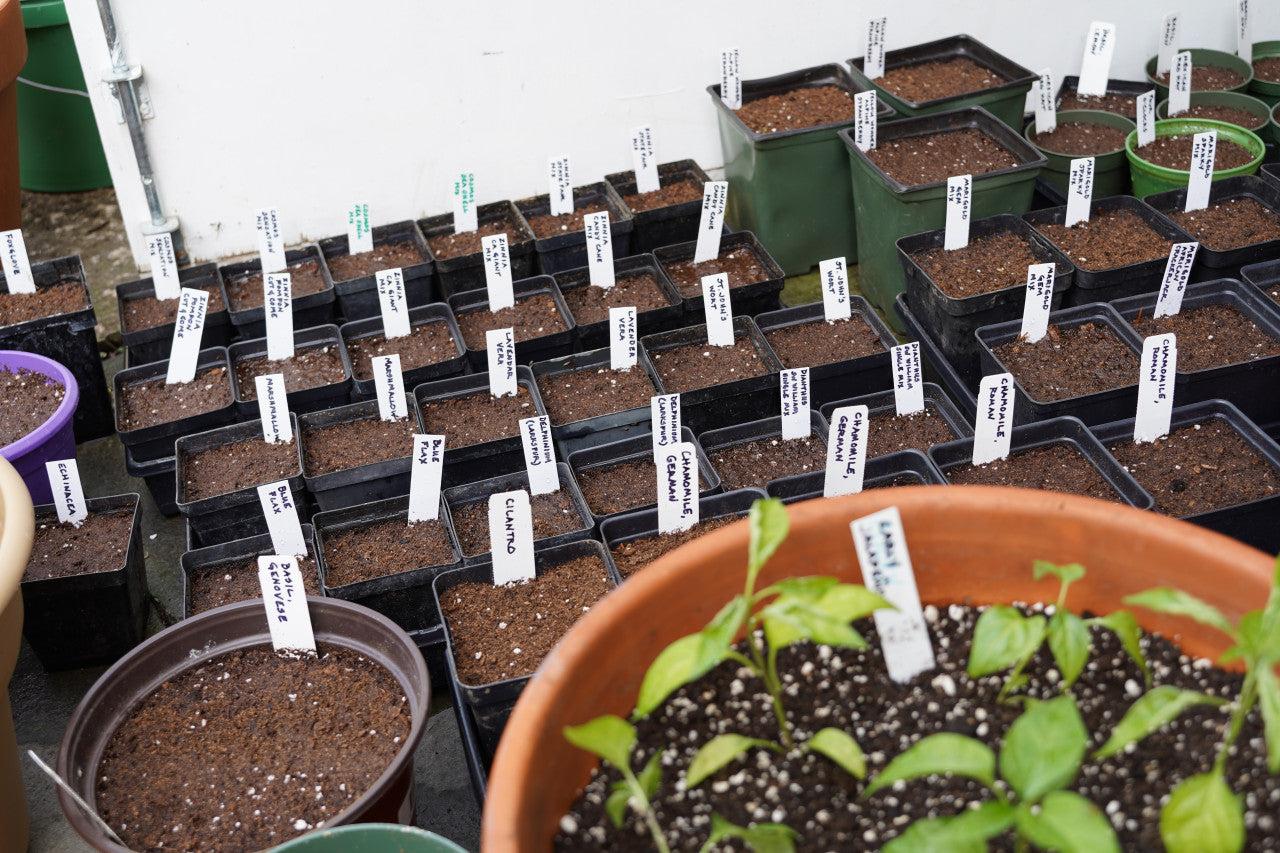 plastic plant markers Plastic Plant Markers