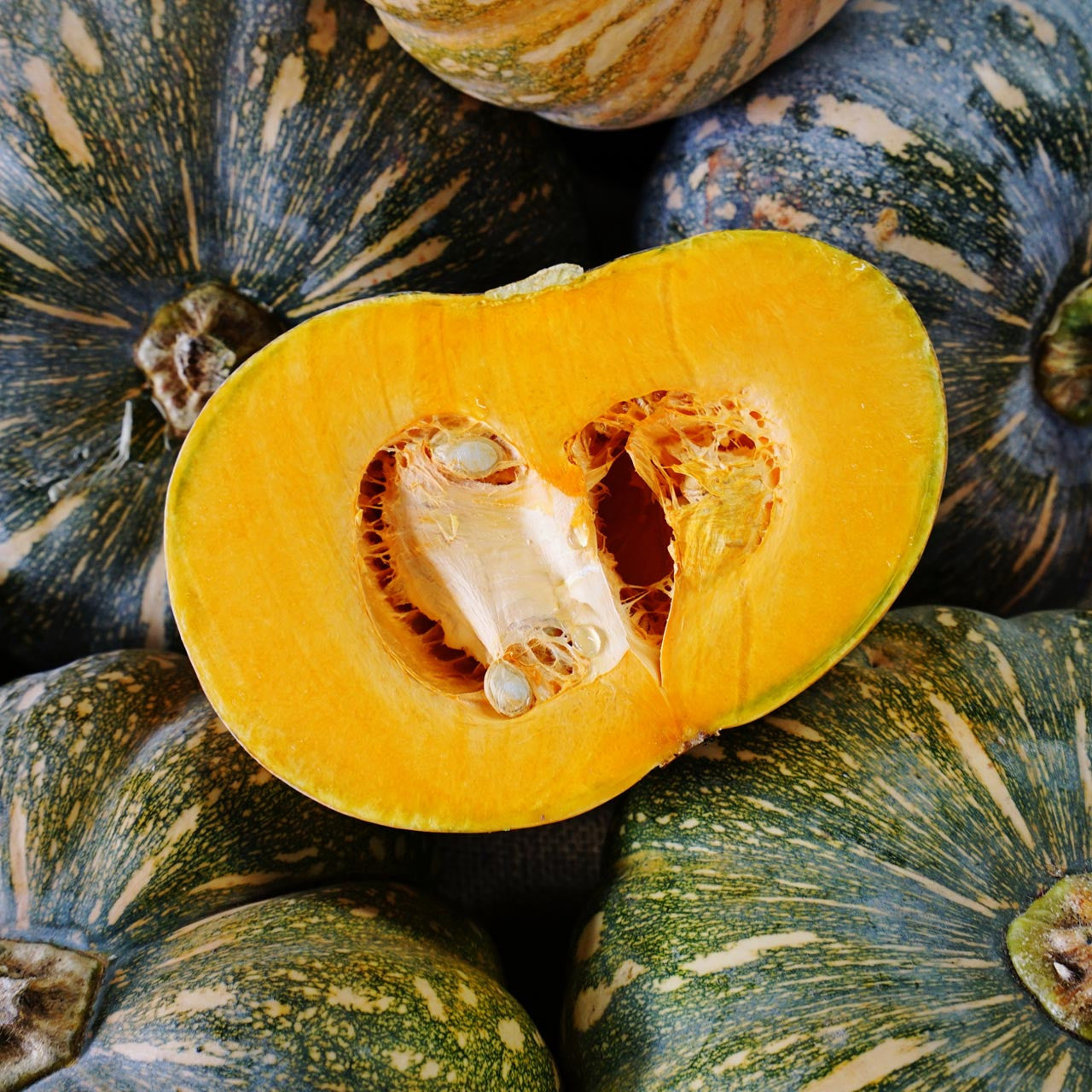 plant kabocha squash seeds Kabocha Squash (Cucurbita maxima) – Annies Heirloom Seeds