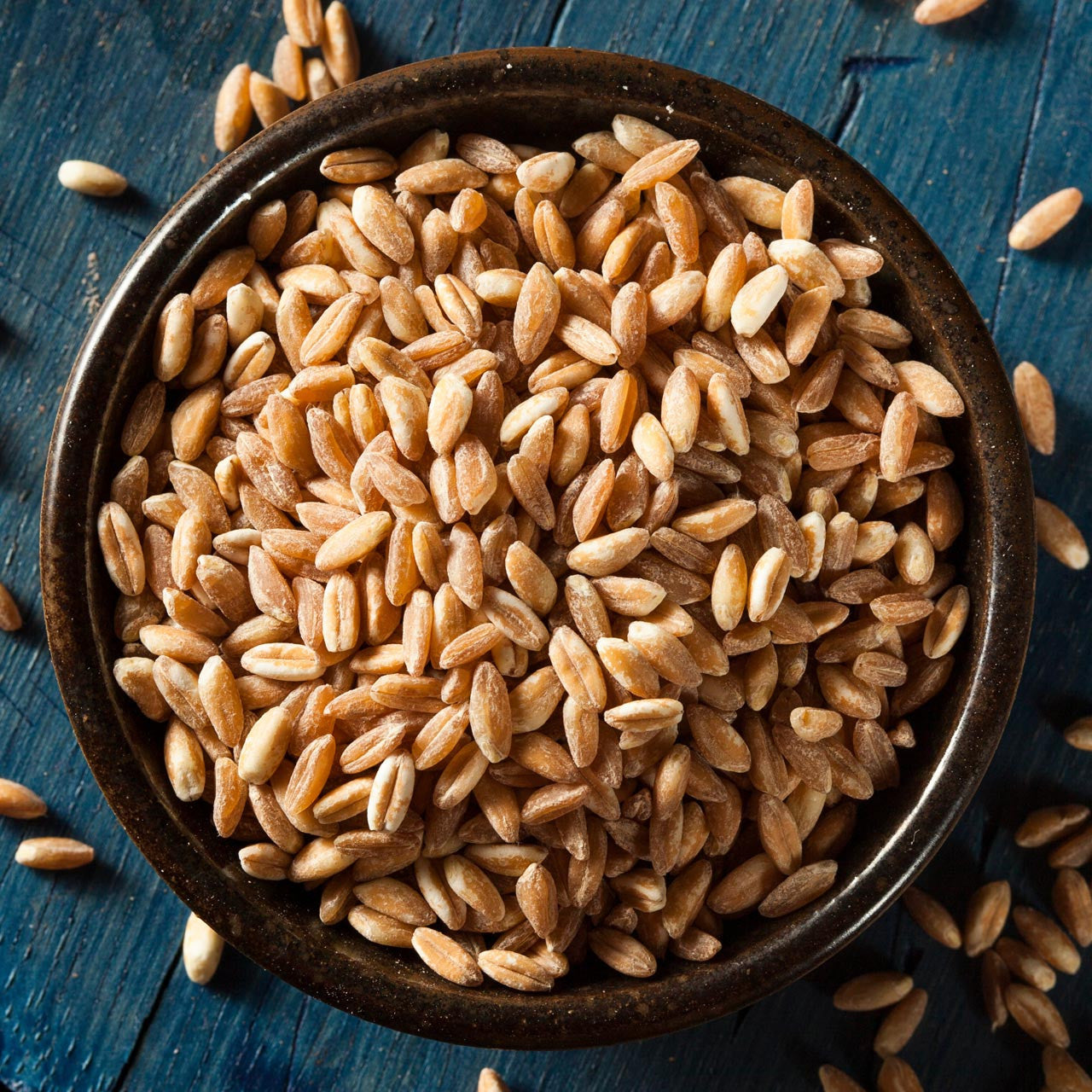 farro seeds for planting Organic Black Emmer Wheat ( Triticum dicoccon var. atratum)