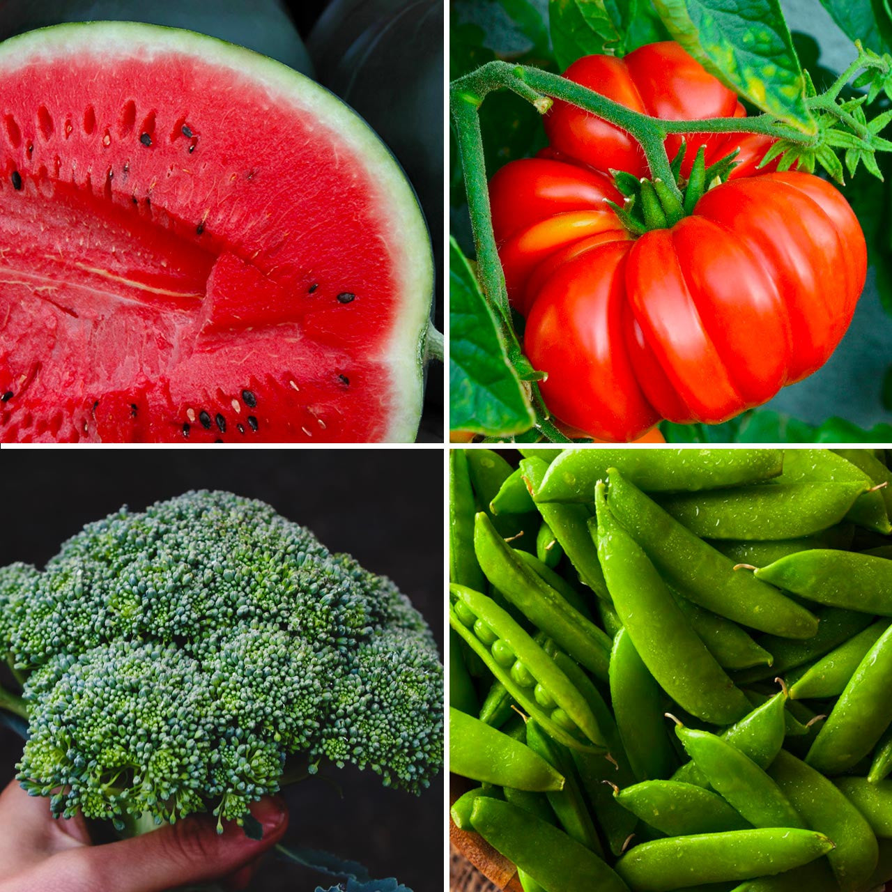 Annie's Seed Saver's Garden Kit Annies Heirloom Seeds