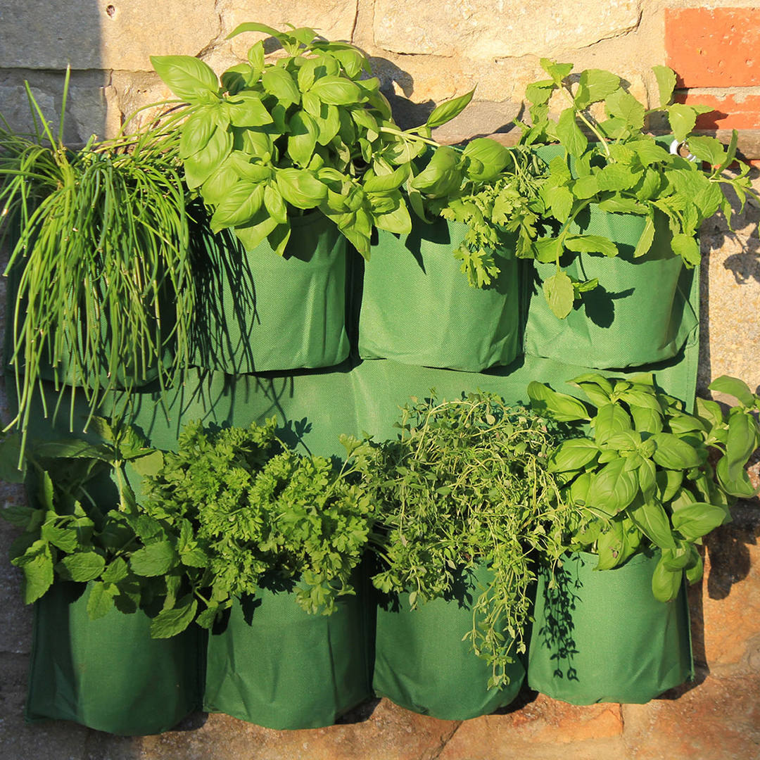 hanging wall herb planter Haxnicks Herb Wall Planter