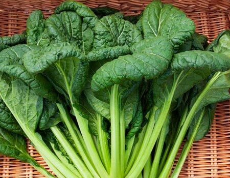 Organic Greens