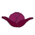 Red Cabbage