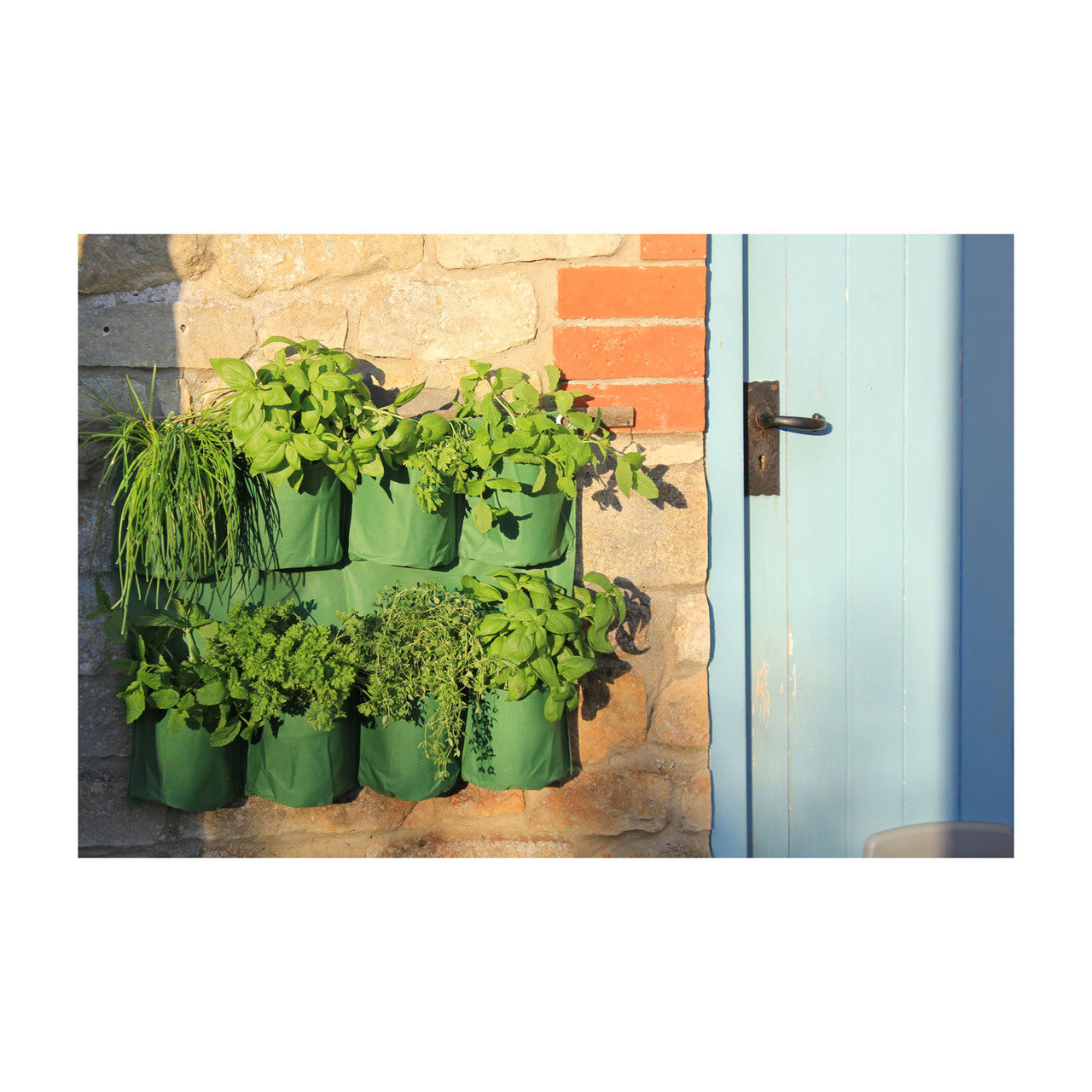 Haxnicks Herb Wall Planter – Annies Heirloom Seeds