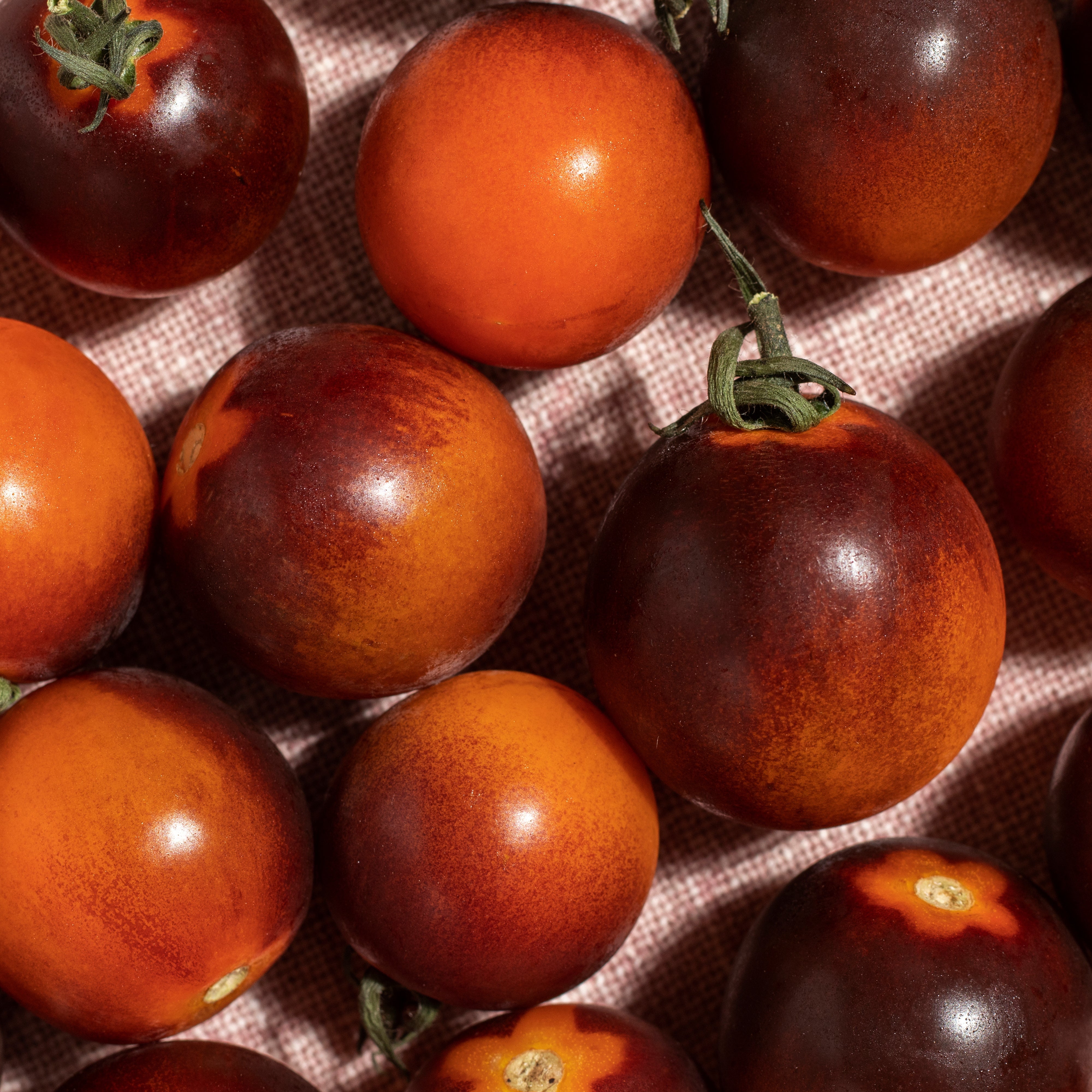 orange strawberry tomato seeds Black Strawberry Tomato Seeds (Solanum lycopersicum) Indeterminate – Annies Heirloom Seeds
