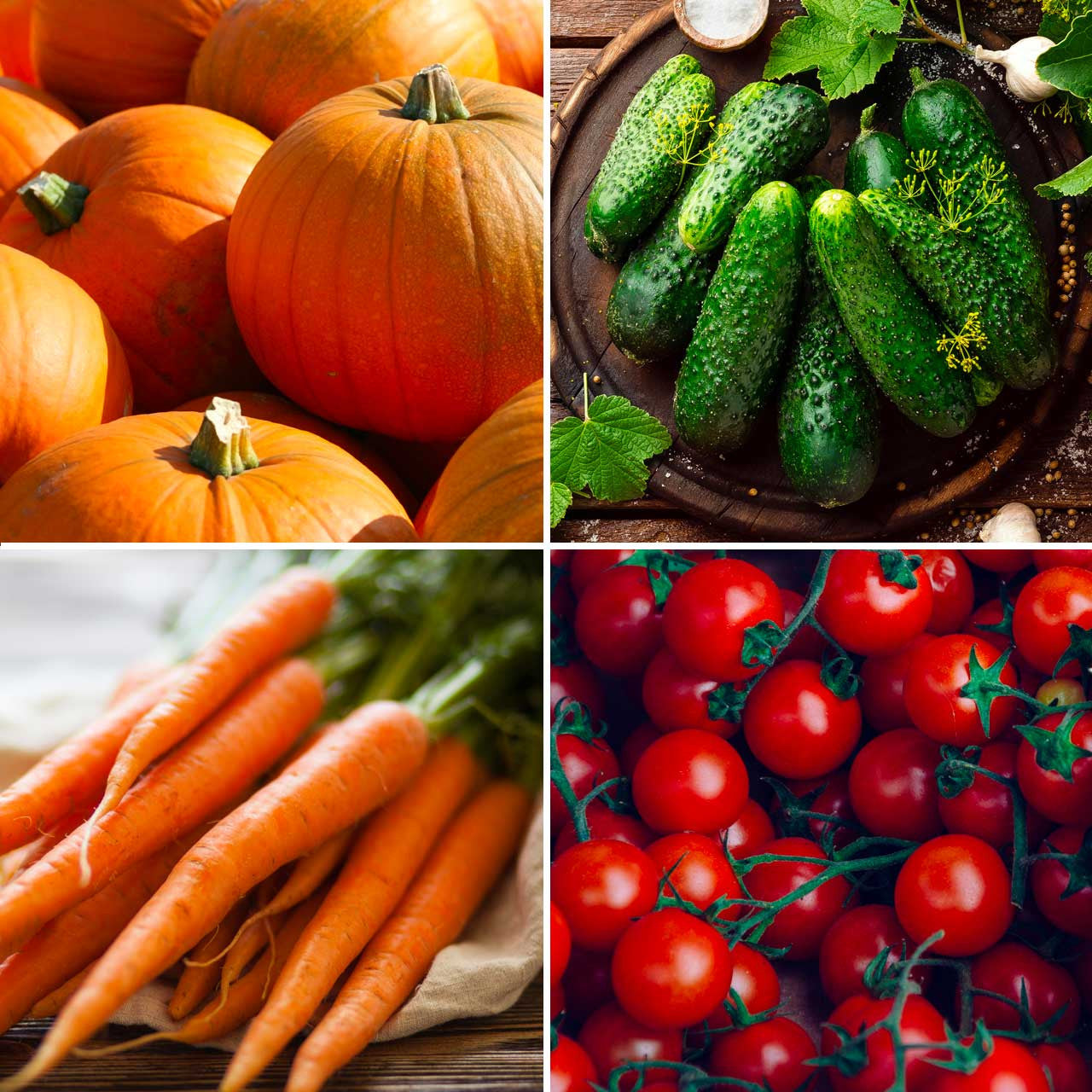 Annie's Family Garden Kit Annies Heirloom Seeds