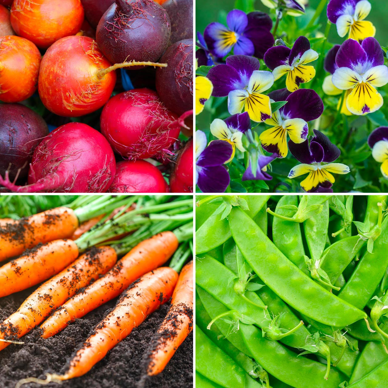 Annie’s Early Spring Garden Kit Annies Heirloom Seeds