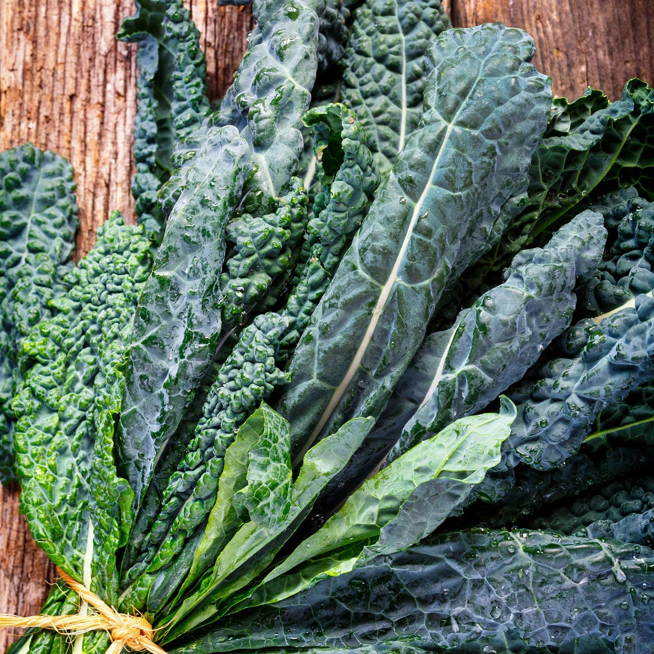 Block Kale Organic Black Magic Kale (Brassica oleracea) – Annies Heirloom Seeds