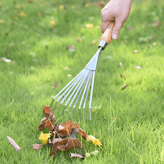 Terra Garden Stainless Steel Hand Rake – Annies Heirloom Seeds