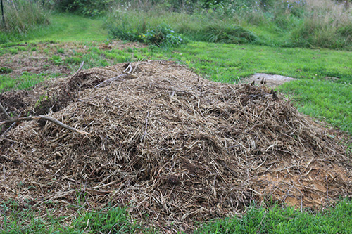 How to Make Compost